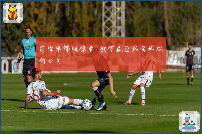 前绿军锋线德鲁-彼得森签约黄蜂双向合同