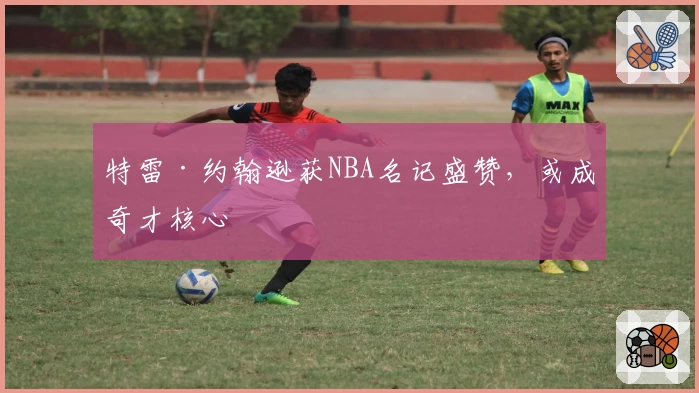 特雷·约翰逊获NBA名记盛赞，或成奇才核心