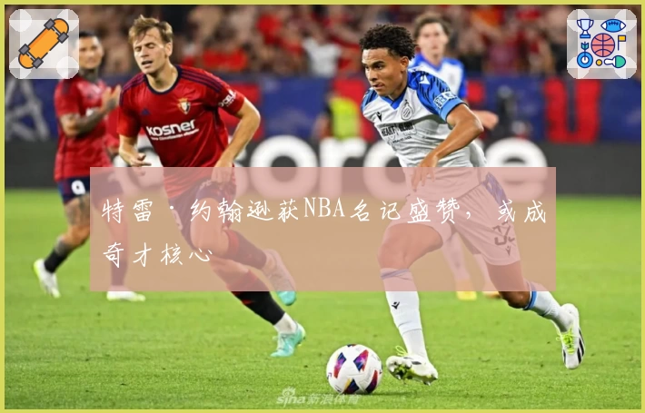 特雷·约翰逊获NBA名记盛赞，或成奇才核心