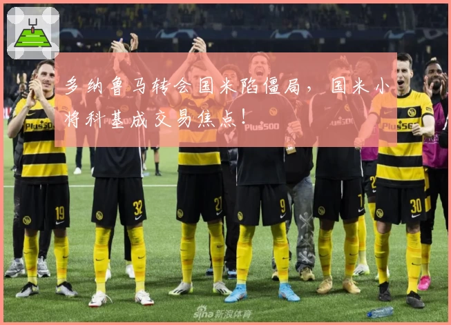 多纳鲁马转会国米陷僵局,国米小将科基成交易焦点!