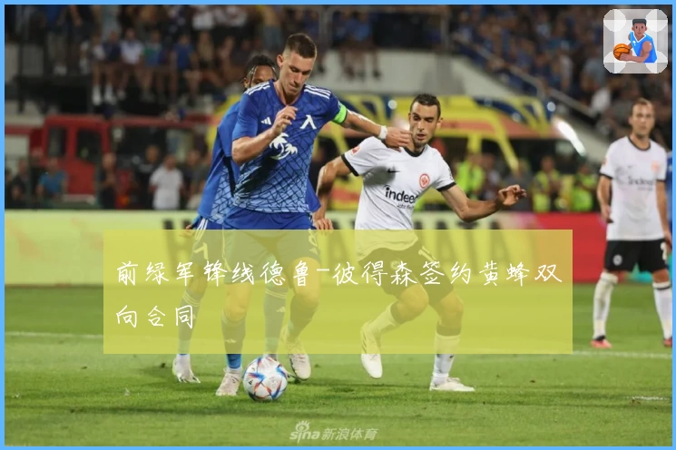 前绿军锋线德鲁-彼得森签约黄蜂双向合同